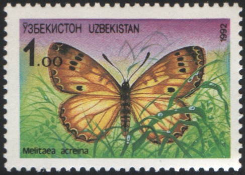 珠网蛱蝶（Melitaea acraeina）