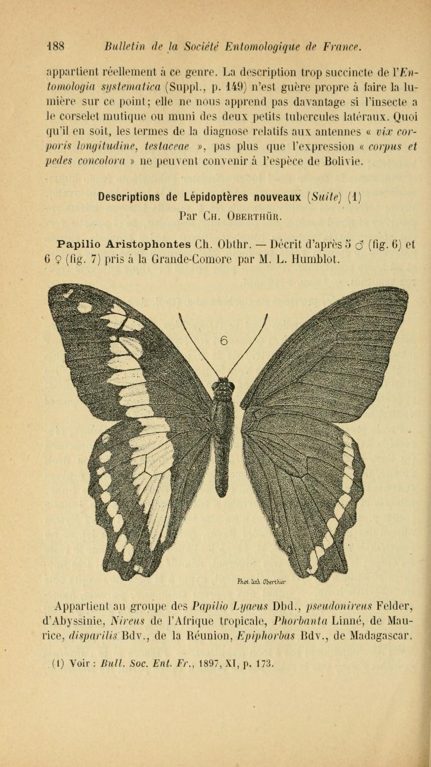 Papilio aristophontes